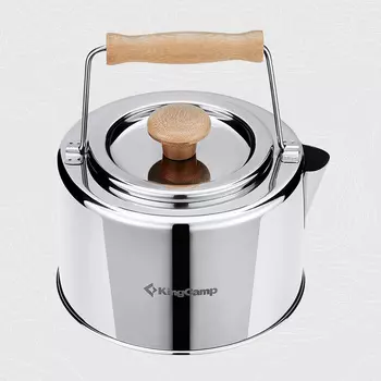 *2009 Skywalker чайник