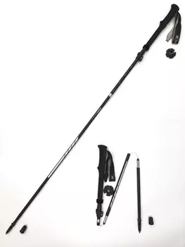 ASTRA-Z POLE палки треккинговые (черный)