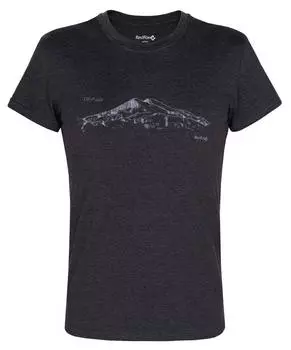 Футболка Mountain T SS Мужская