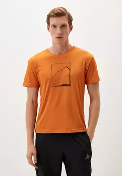 Футболка Pass Мужская