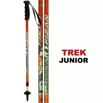 Палки трекинговые TREK JR