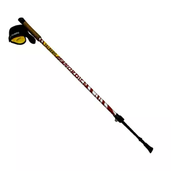 *Палки треккинговые NORDIKA