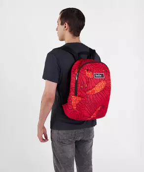 Рюкзак Compact Promo V2 DF