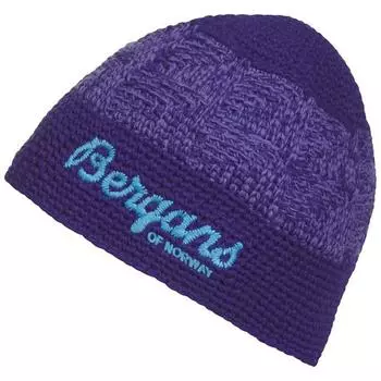 *Шапка Tryvann Youth Beanie