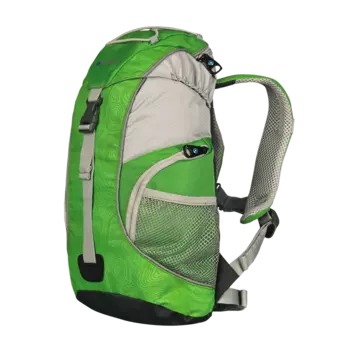 SPRING рюкзак (12 л, зелёный)