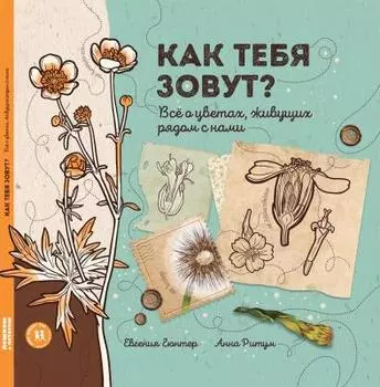 Как тебя зовут?