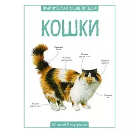 Кошки