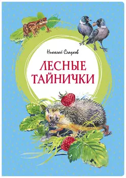 Лесные тайнички