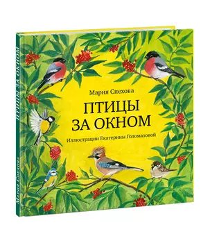 Птицы за окном