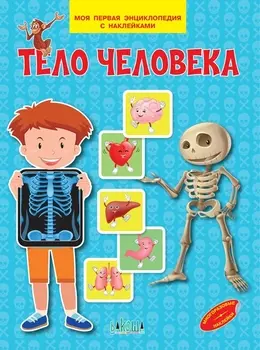 Тело человека