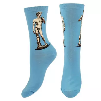 Носки SOCKS DAVID р-р единый