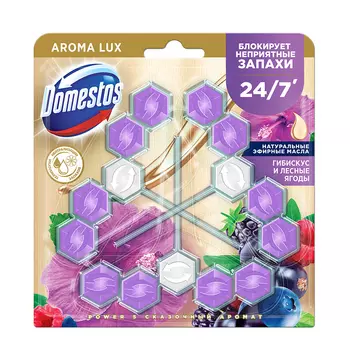 Подвеска для унитаза DOMESTOS POWER 5 TRIO Сказочный аромат