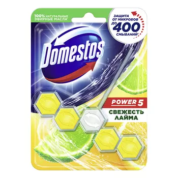 Подвеска для унитаза DOMESTOS Свежесть лайма 55 гр