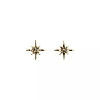 Серьги LADY PINK MYSTERIOUS