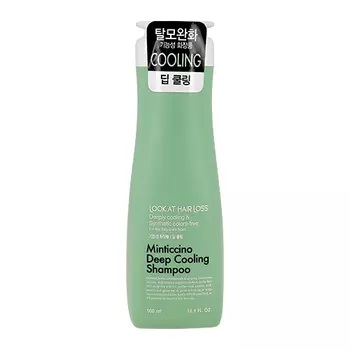 Шампунь для волос DAENG GI MEO RI LOOK AT HAIR LOSS для жирной кожи головы 500 мл