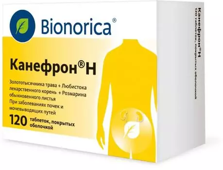 Канефрон Н, таблетки покрытые оболочкой, 120 шт.