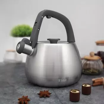 Чайник нержавеющая сталь, 2.2 л, со свистком, матовый, Taller, 11372