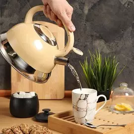 Чайник нержавеющая сталь, 3 л, со свистком, ручка с силиконовым покрытием, Daniks, бежевый, M-014