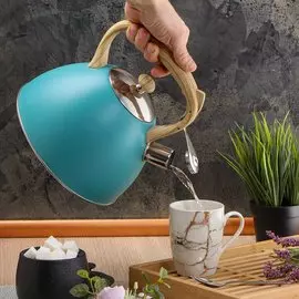 Чайник нержавеющая сталь, 3 л, со свистком, ручка с силиконовым покрытием, Daniks, индукция, голубой, MSY-079B