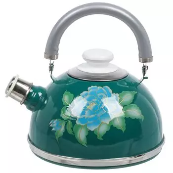 Чайник сталь, эмалированное покрытие, 2.5 л, со свистком, подвижная ручка, Рубин, бирюзовый, TMM04/25/06/13/27/H03