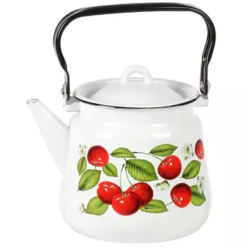 Чайник сталь, эмалированное покрытие, 3.5 л, СтальЭмаль, индукция, 1с26с