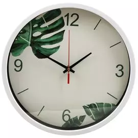 Часы настенные, 30 см, круглые, пластик, стекло, белые, Папоротник, Y4-5127