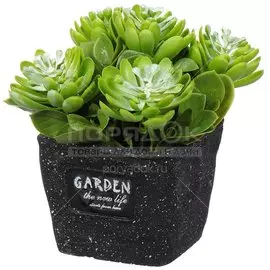Цветок искусственный декоративный Композиция из суккулентов, в кашпо, 17 см, Y6-2061
