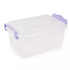 Контейнер хозяйственный 2.5 л, 23х16.5х11 см, с крышкой, Альтернатива, М421