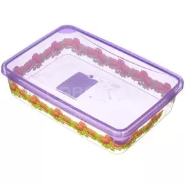 Контейнер пищевой пластмассовый Браво GR 1068 0.9 л