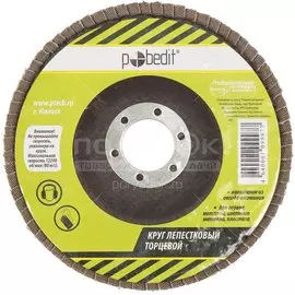 Круг шлифовальный лепестковый Pobedit зерно 40 2050204, 125х22 мм