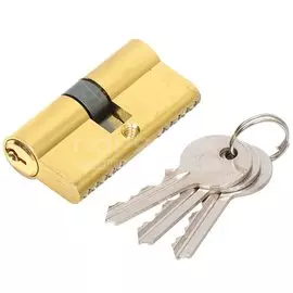 Личинка замка двери Trodos, ЦМ 60(30/30)-3K PB, 208055, 60 мм, золото