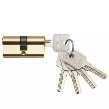 Личинка замка двери Trodos, ЦМВП, 208234, 100 мм, золото, 5 ключей