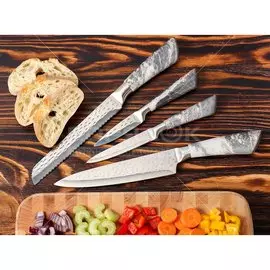 Набор ножей 4 предмета, 20 см, 20 см, 12.5 см, 9 см, нержавеющая сталь, рукоятка нержавеющая сталь, Daniks, Лацио, JA20200344