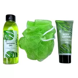 Набор подарочный для женщин, Beauterica, №15, гель для душа, 120 мл + лосьон для тела, 60 мл + мочалка