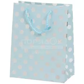 Пакет подарочный Круги Y6-2487 I.K с тиснением, 23х18х10 см