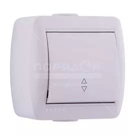 Выключатель открытой установки, одноклавишный, без заземления, керамика, белый, проходной, Lezard, Nata, 710-0200-105