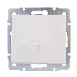 Переключатель скрытой установки одноклавишный Lezard Rain 703-0288-105, белый
