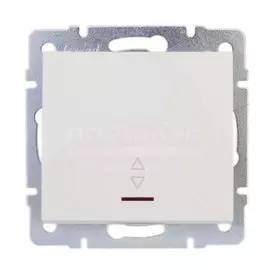Переключатель скрытой установки одноклавишный Lezard Rain 703-0288-114, белый