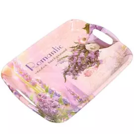 Поднос пластик, 46х35х5 см, Романтик, Y4-3301