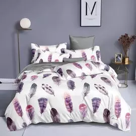 Постельное белье 1.5-спальное, простыня 150х220 см, 2 наволочки 50х70 см, пододеяльник 145х215 см, Cleo, поплин, коллекция Pure Cotton, 16/204-PC