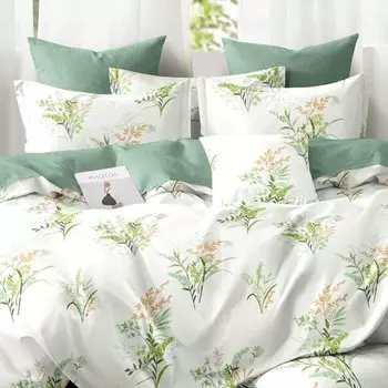 Постельное белье 1.5-спальное, простыня 150х220 см, 2 наволочки 50х70 см, пододеяльник 145х215 см, Cleo, поплин, коллекция Pure Cotton, 16/244-PC