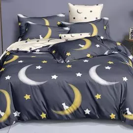 Постельное белье 1.5-спальное, простыня 150х220 см, 2 наволочки 70х70 см, пододеяльник 145х215 см, Cleo, поплин, коллекция Pure Cotton, 15/203-PC