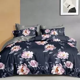 Постельное белье 2-спальное, простыня 180х215 см, 2 наволочки 70х70 см, пододеяльник 175х215 см, Butterfly, сатин, 2214