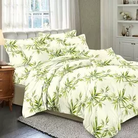 Постельное белье 2-спальное, простыня 200х220 см, 2 наволочки 70х70 см, пододеяльник 175х215 см, Cleo, полисатин, коллекция Art Color, 20/084-AC