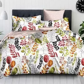 Постельное белье 2-спальное, простыня 200х220 см, 2 наволочки 70х70 см, пододеяльник 175х215 см, Cleo, поплин, коллекция Pure Cotton, 20/221-PC