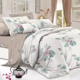 Постельное белье 2-спальное, простыня 200х220 см, 2 наволочки 70х70 см, пододеяльник 175х215 см, Cleo, поплин, коллекция Pure Cotton, 20/224-PC