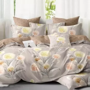 Постельное белье 2-спальное, простыня 200х220 см, 2 наволочки 70х70 см, пододеяльник 175х215 см, Cleo, поплин, коллекция Pure Cotton, 20/254-PC