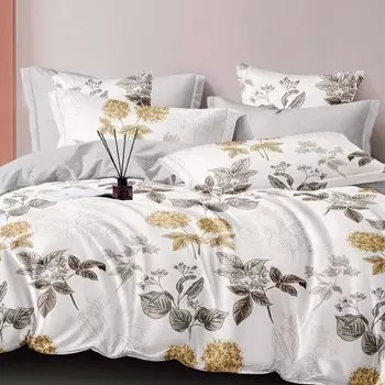 Постельное белье 2-спальное, простыня 200х220 см, 2 наволочки 70х70 см, пододеяльник 175х215 см, Cleo, поплин, коллекция Pure Cotton, 20/256-PC