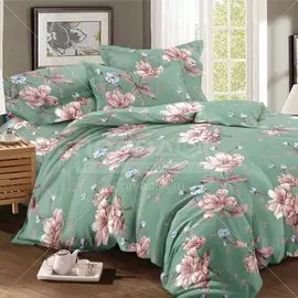 Постельное белье Cleo 2-спальное полисатин (простыня 200х220 см, 2 наволочки 70х70 см, пододеяльник 175х215 см) 20/045-AC