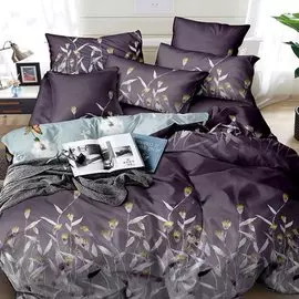 Постельное белье евростандарт, простыня 215х240 см, 2 наволочки 70х70 см, пододеяльник 200х215 см, Butterfly, полисатин, 4219